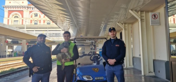 Cane sfugge al padrone e si aggira fra i binari in stazione: salvato dalla Polfer