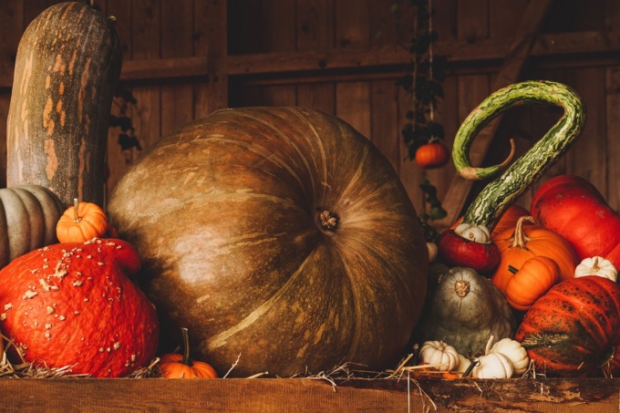 Zuppa di lenticchie e zucca, una ricetta per la stagione fredda