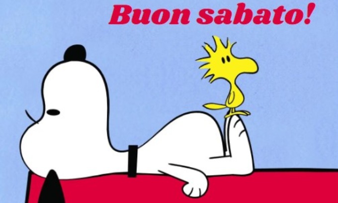 Buongiorno buon sabato 28 dicembre 2024: frasi e immagini gratis da