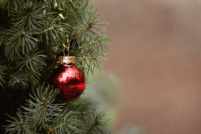 Albero di Natale, una tradizione a cui gli italiani non rinunciano