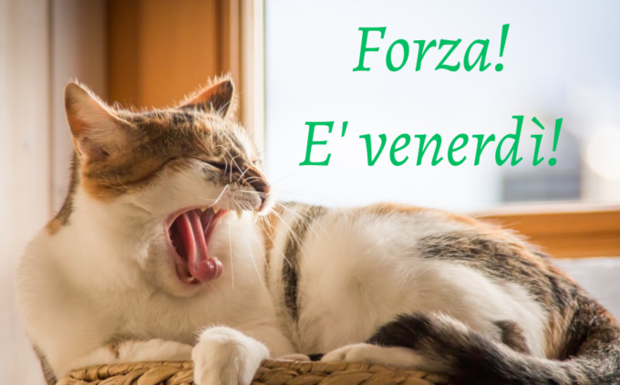 Buongiorno buon venerdì 17 gennaio 2025: frasi e immagini gratis da inviare via WhatsApp
