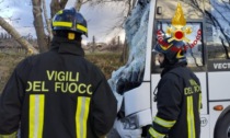 Albero crolla sullo scuolabus, paura per i bambini