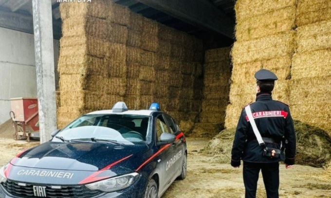 Schiacciato da una rotoballa di fieno muore 67enne, altro agricoltore 63enne ucciso dal suo trattore