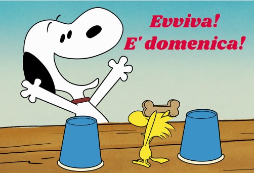 Buongiorno buona domenica 23 febbraio 2025: frasi e immagini gratis da inviare via WhatsApp