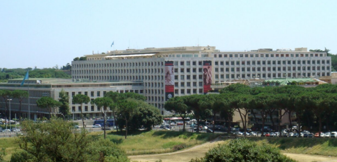 Vertice Onu a Roma sulla FAO, raggiunto un accordo: dai Paesi ricchi 30 miliardi di dollari all’anno per la biodiversità