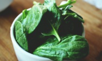 Spinaci ritirati dai supermercati: il prodotto e i lotti richiamati (occhio alla data di scadenza)