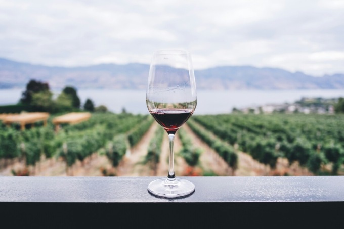Il vino sfida i confini: l’innovazione tra IA, blockchain e spazio