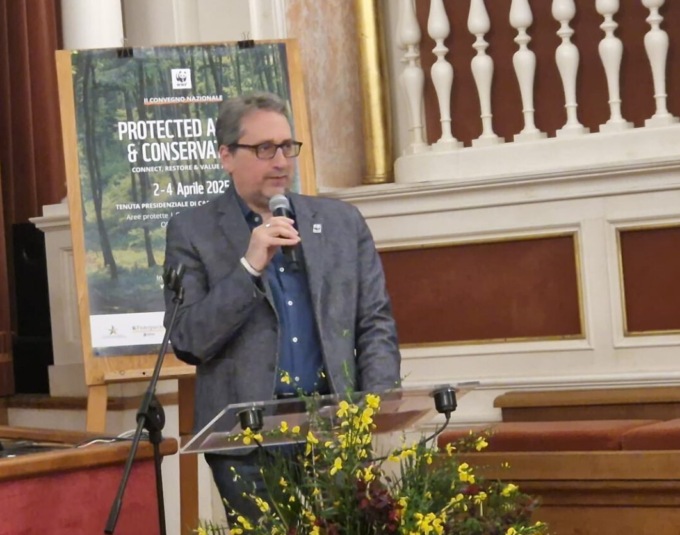 L’Europa declassa la protezione del lupo: le associazioni animaliste insorgono