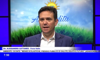 Cattaneo (FI): "L’Europa può essere decisiva per la pace"