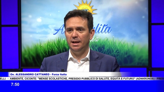 Cattaneo (FI): “L’Europa può essere decisiva per la pace”