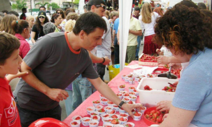 Cosa fare in Piemonte nel weekend: gli eventi di sabato 24 e domenica 25 maggio 2025