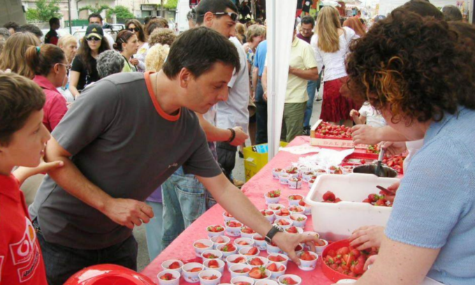 Cosa fare in Piemonte nel weekend: gli eventi di sabato 24 e domenica 25 maggio 2025