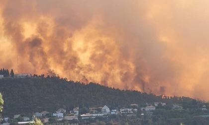 Maxi incendio attorno a Gerusalemme: Hamas incita ad appiccare le fiamme, Abu Mazen invece offre aiuto (Canadair anche dall'Italia)