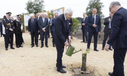 Mattarella pianta alberi nella Giornata della biodiversità: "Ripensare il rapporto tra uomo e natura"