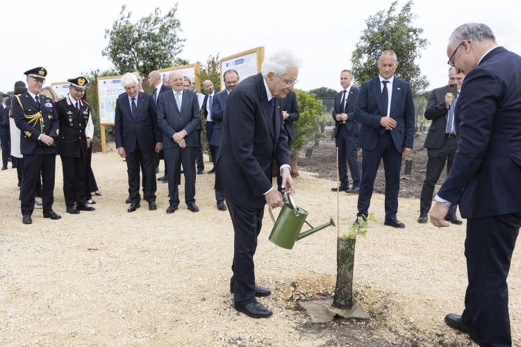 giornata biodiversità mattarella pianta alberi