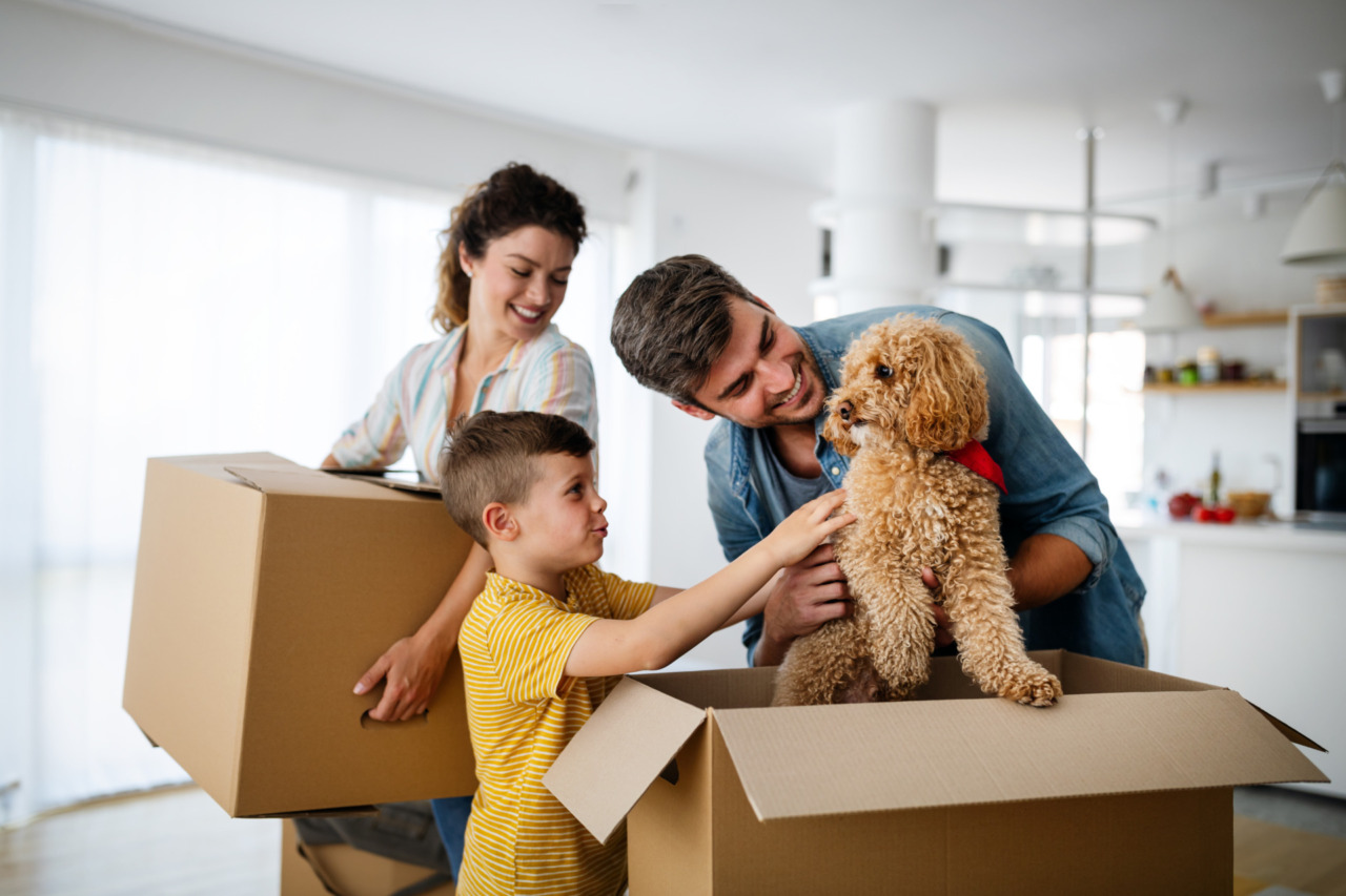 Traslocare all’estero con il cane: 4 consigli per ridurre il suo stress
