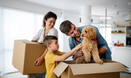 Traslocare all'estero con il cane: 4 consigli per ridurre il suo stress