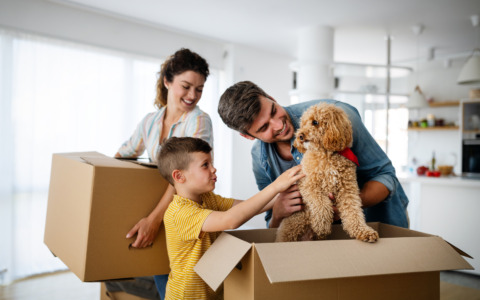 Traslocare all’estero con il cane: 4 consigli per ridurre il suo stress