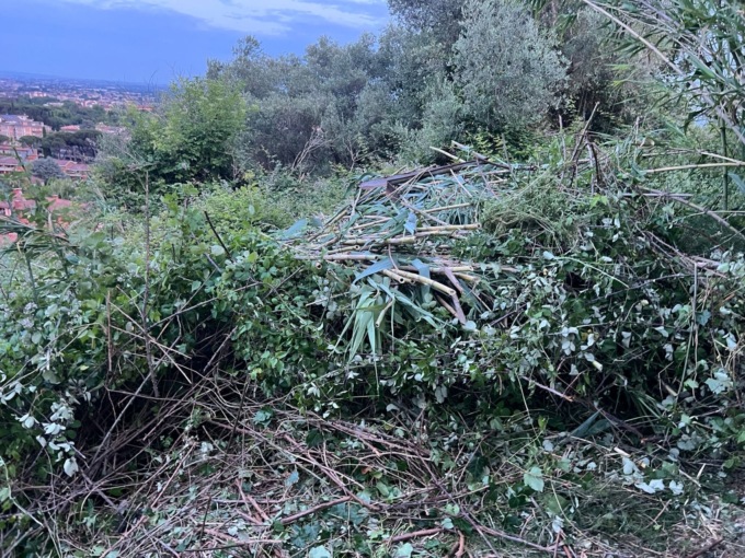 L'ultimo ieri a Bergamo, ma erano femminicidi anche quelli di Sueli a Milano e di Denisa in Toscana
