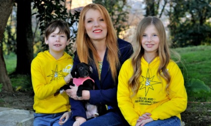 Approvata la legge "Salva Animali": riconosciuti come esseri senzienti, capaci di provare dolore ed emozioni