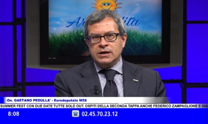 Pedullà (M5S) :"Democrazia sotto attacco: l’astensionismo diventa alleato delle destre"