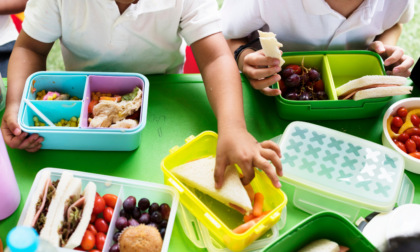 Pulizia e igiene nelle mense scolastiche: regole e normative
