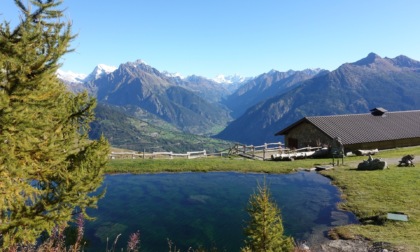 Oltre 100 itinerari di montagna nella nuova app Grand Combin Outdoor