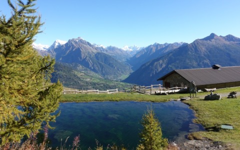 Oltre 100 itinerari di montagna nella nuova app Grand Combin Outdoor