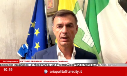 Prandini (Coldiretti): "Made in Italy sotto attacco: dazi USA e tagli UE minacciano l'agroalimentare italiano"