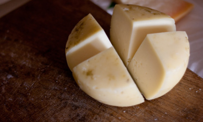 Escherichia coli nel formaggio: prodotto e lotti ritirati (da non mangiare)