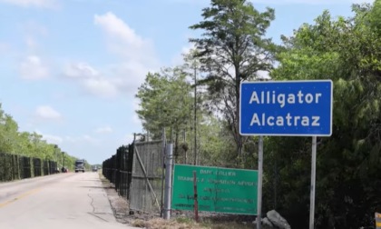 Chi sono i due italiani rinchiusi ad Alligator Alcatraz e cosa succede ora