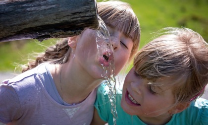 Dieci consigli utili per combattere il caldo con l’alimentazione