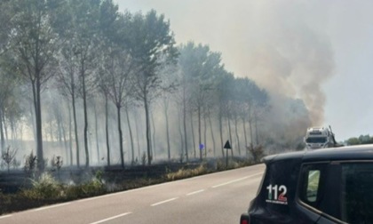 Incidenti sul lavoro: operaio muore per esalazioni tossiche. 56enne perde la vita cadendo da una trave