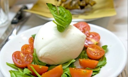 Frammenti di plastica nella mozzarella di noto marchio: prodotto e lotti ritirati dai supermercati