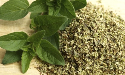 Pesticidi nell'origano: i prodotti e i lotti ritirati dai supermercati