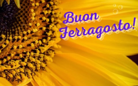 Auguri buon Ferragosto 2025: frasi e immagini gratis da inviare con WhatsApp