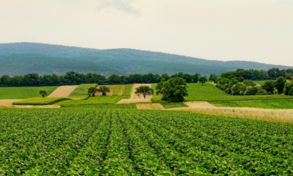 Riforma del settore agricolo: le proposte di Meritocrazia Italia al ministro Lollobrigida