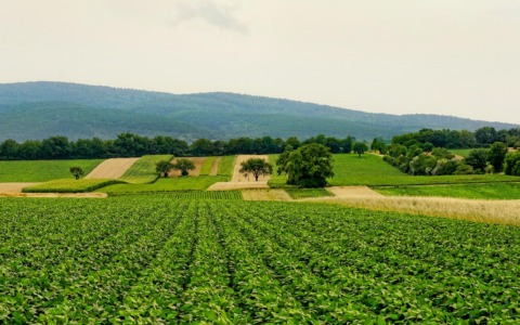 Riforma del settore agricolo: le proposte di Meritocrazia Italia al ministro Lollobrigida
