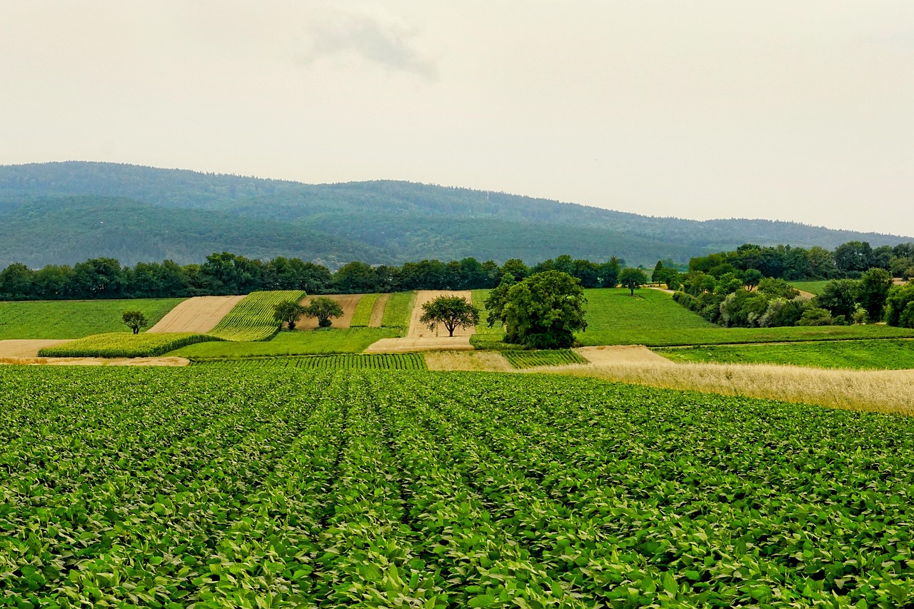 Riforma del settore agricolo: le proposte di Meritocrazia Italia al ministro Lollobrigida