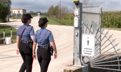 Incidenti sul lavoro: muletti killer in Emilia, un morto; due precipitati in Piemonte e Lombardia