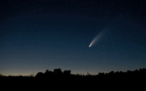 Il picco delle stelle cadenti 2025 non a San Lorenzo, ma oggi martedì 12 agosto