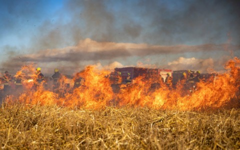 Incendi estivi, cosa fare e cosa non fare in caso di necessità