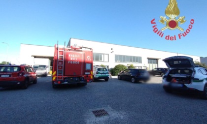 Schiacciato da un muletto guidato dal collega, muore 48enne padre di due figli