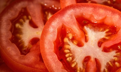 Pomodori ripieni estivi con cous cous, verdure e frutta: freschezza e gusto in vacanza