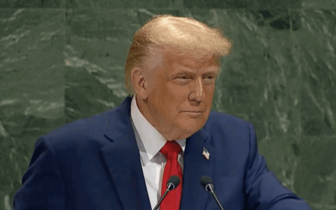 Trump all’ONU: “Riconoscimento della Palestina un regalo ad Hamas”