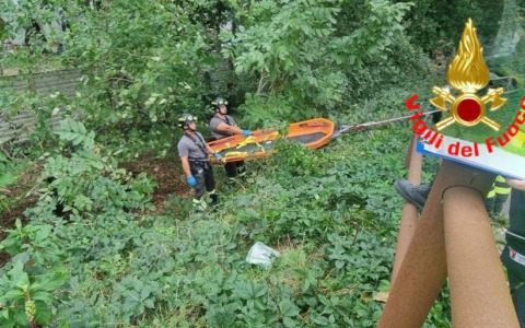 Giardiniere muore schiacciato dall’albero che stava potando