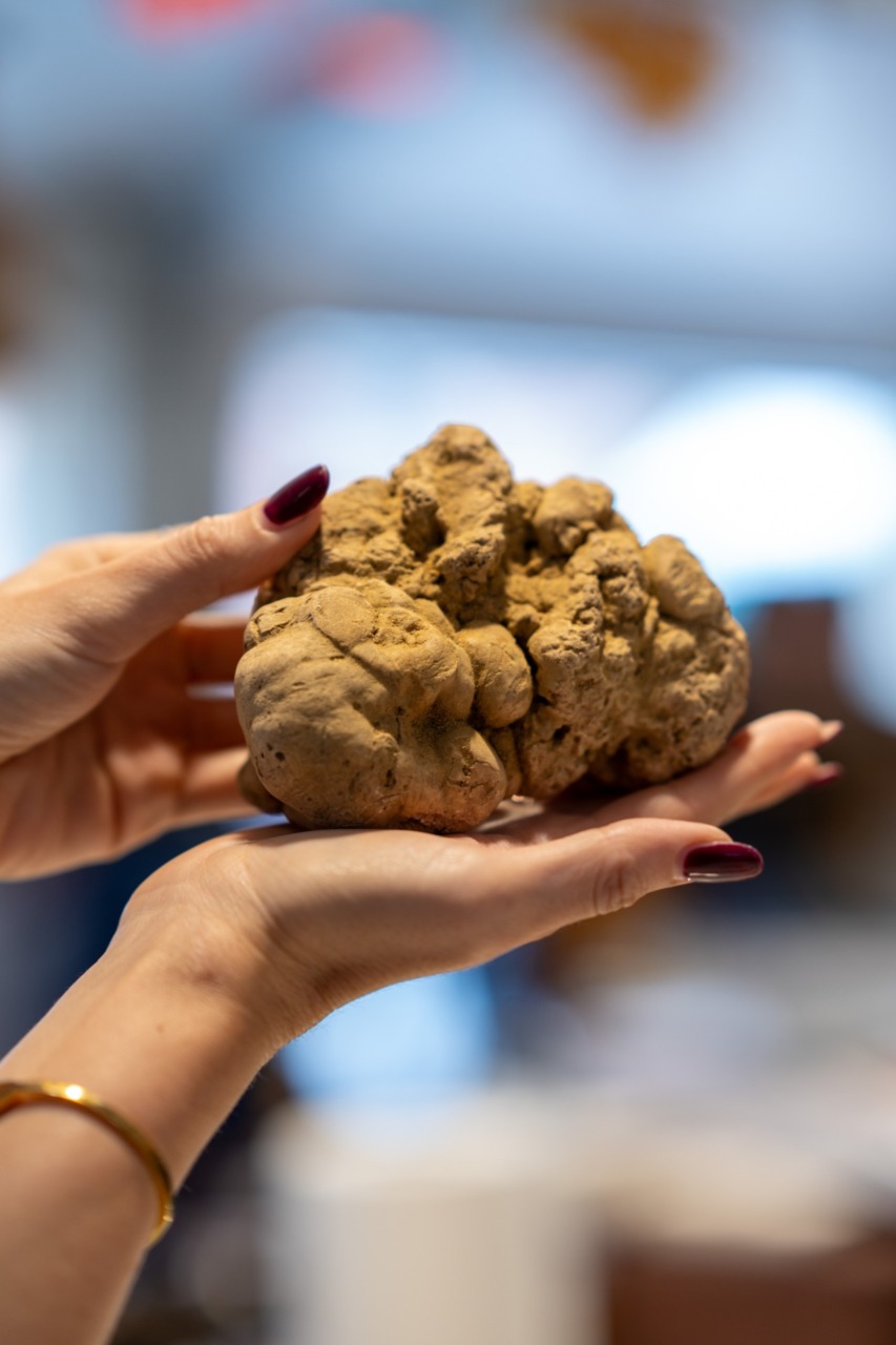 Prende il via la Fiera Internazionale del Tartufo Bianco d’Alba