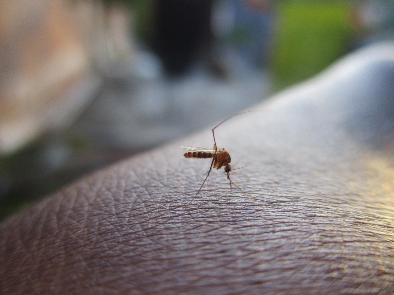Cuba, la “misteriosa epidemia” potrebbe essere una combinazione di virus noti e una sanità allo stremo