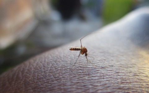 Cuba, la “misteriosa epidemia” potrebbe essere una combinazione di virus noti e una sanità allo stremo