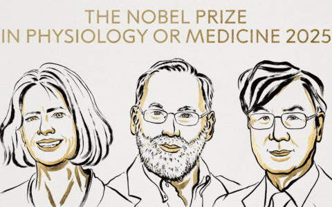 Nobel per la Medicina 2025: premiati Brunkow, Ramsdell e Sakaguchi per le scoperte sul sistema immunitario